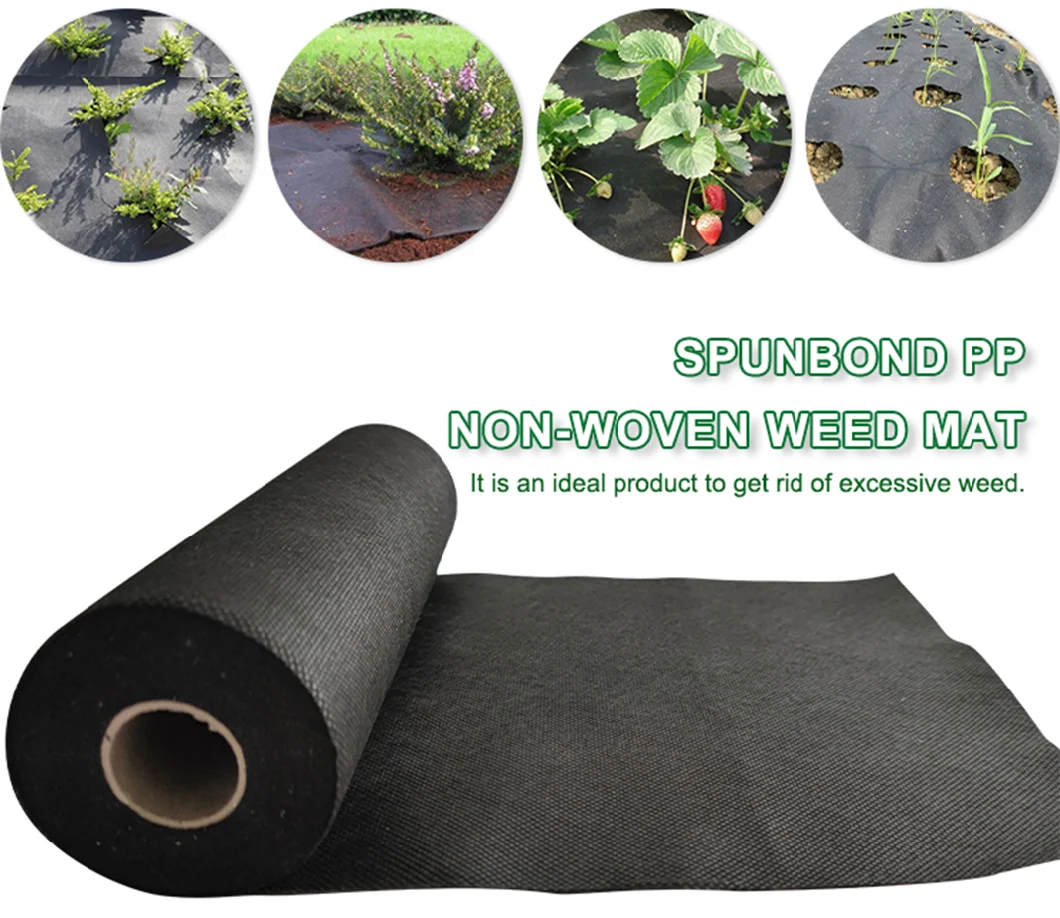 PP Spunbond Fabric Anti UV Weed Control Fabric Biodegradable Nonwoven Weed Barrier Weed Mat