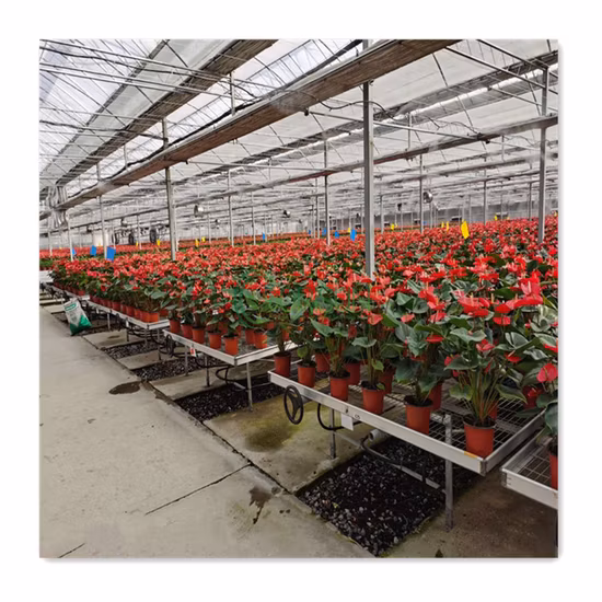 Tamanho personalizável 60um autoclavável reforçado com filtro de 0,2/0,5 mícrons respirável PP plástico cogumelo crescer sacos de cultivo de spawn